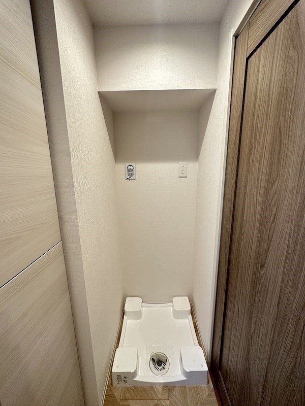 ダーシャモリ その他3