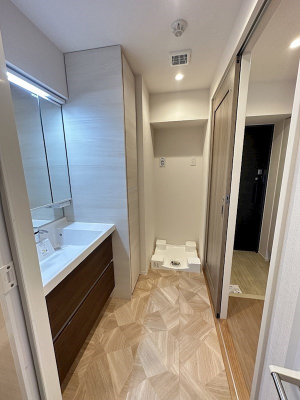 ダーシャモリ その他11