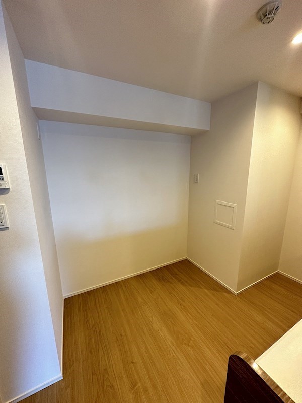 ダーシャモリ その他19