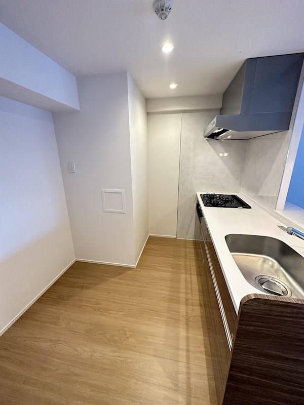 ダーシャモリ その他20