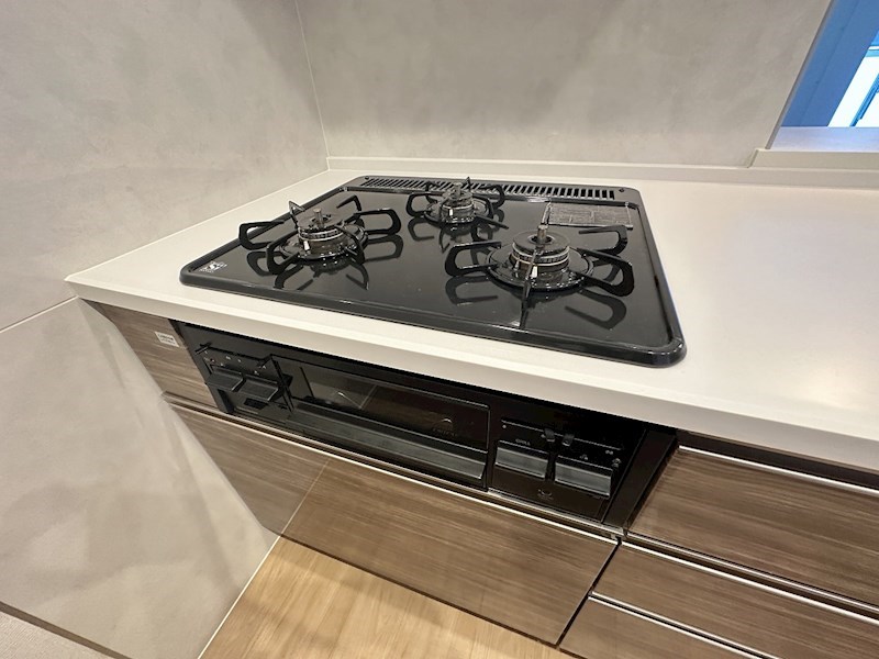 ダーシャモリ その他21