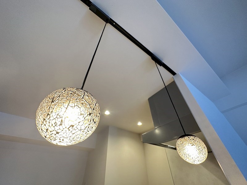 ダーシャモリ その他22