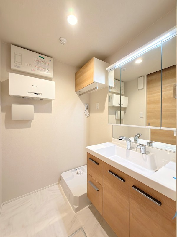 セントリビエ その他2