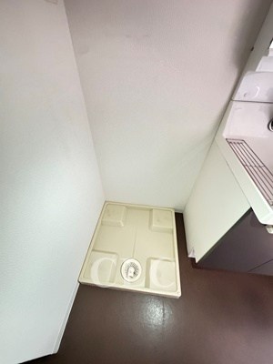 Verdesian その他6