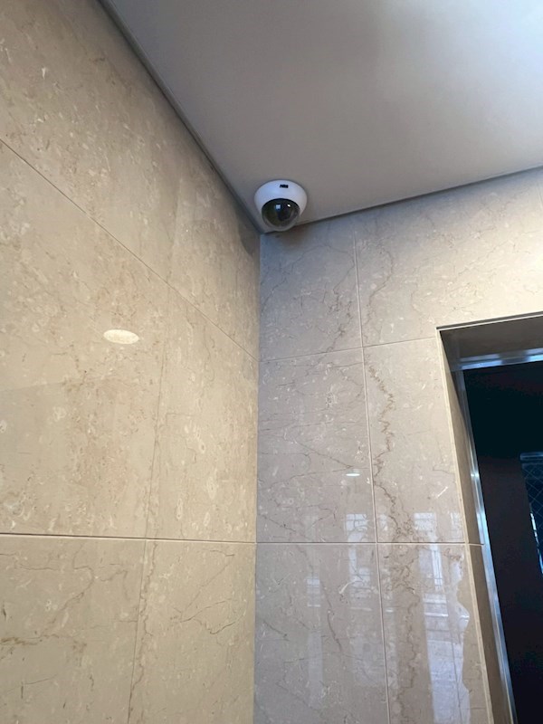 Verdesian その他2