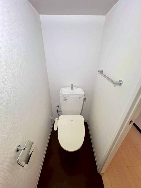 Verdesian その他3