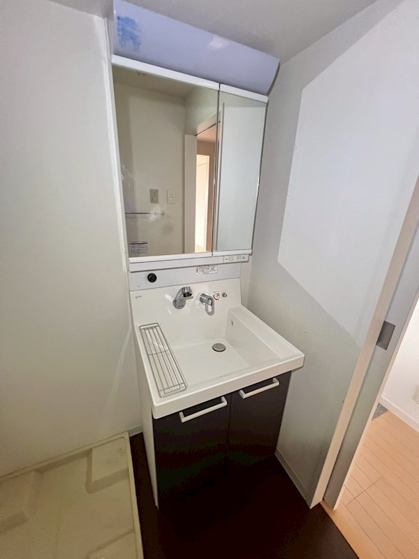 Verdesian その他4