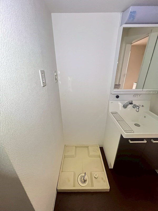 Verdesian その他5