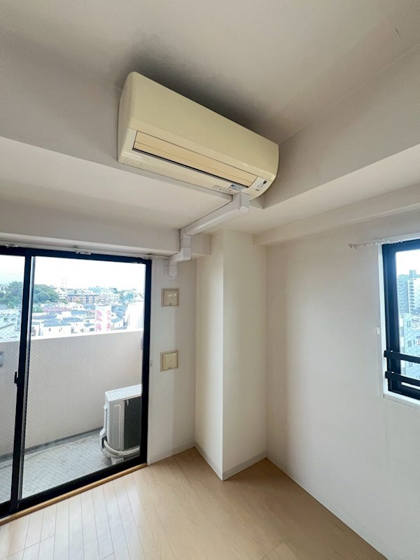 Verdesian その他7