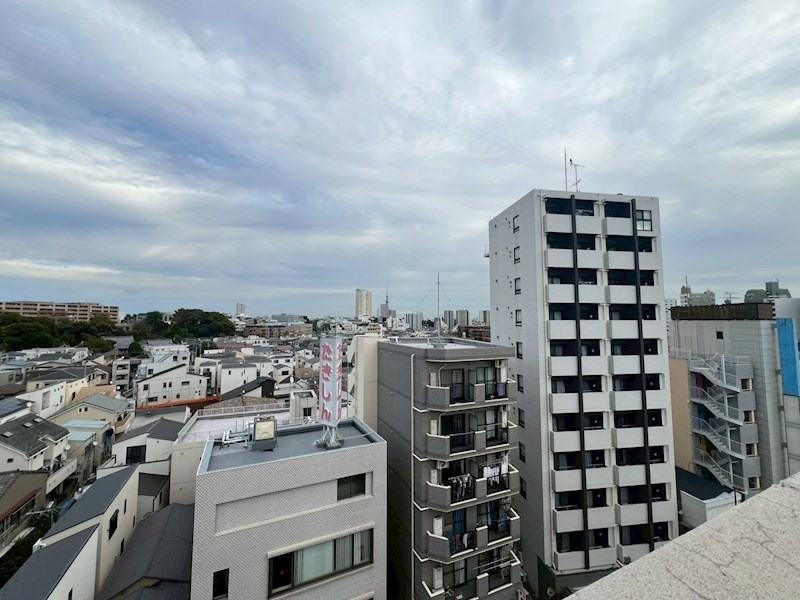 Verdesian その他8