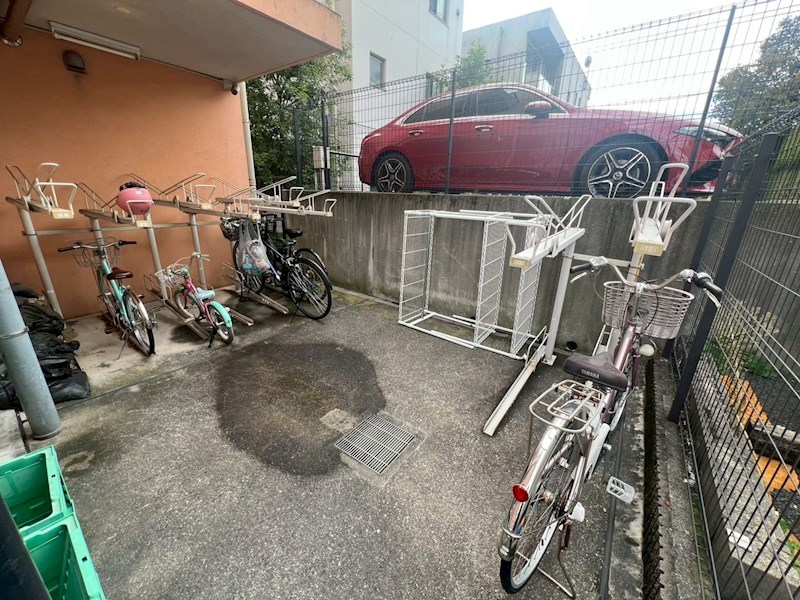 Verdesian その他10