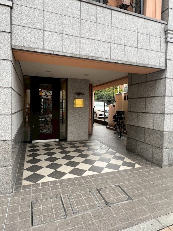 Verdesian その他1