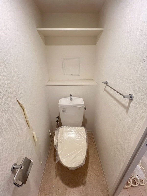 Verdesian その他4