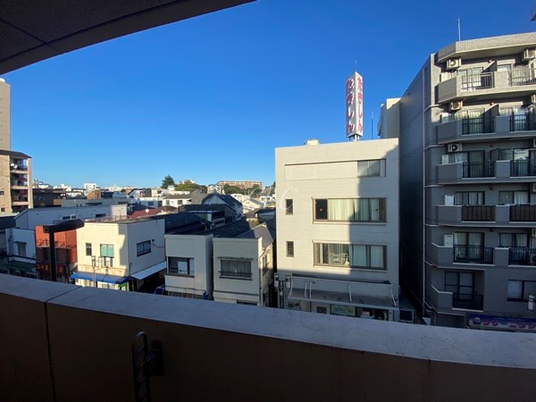 Verdesian その他7
