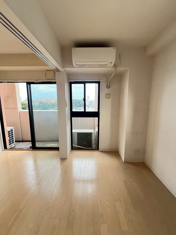 Verdesian その他8