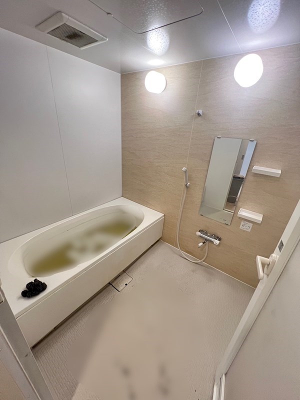 Verdesian 風呂画像