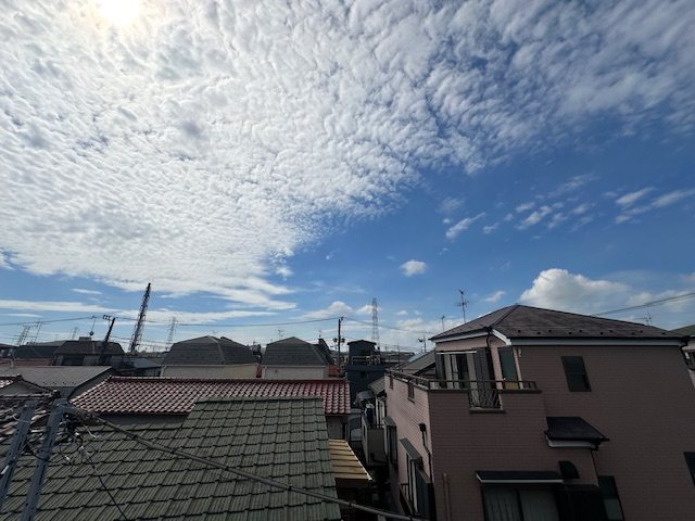 サザンハイツ南小岩 その他5