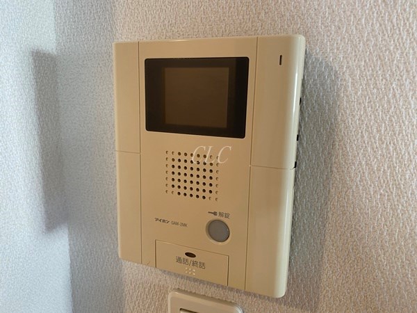 Verdesian その他5