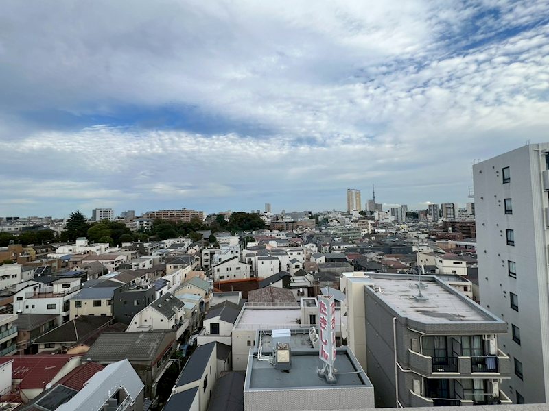 Verdesian その他7