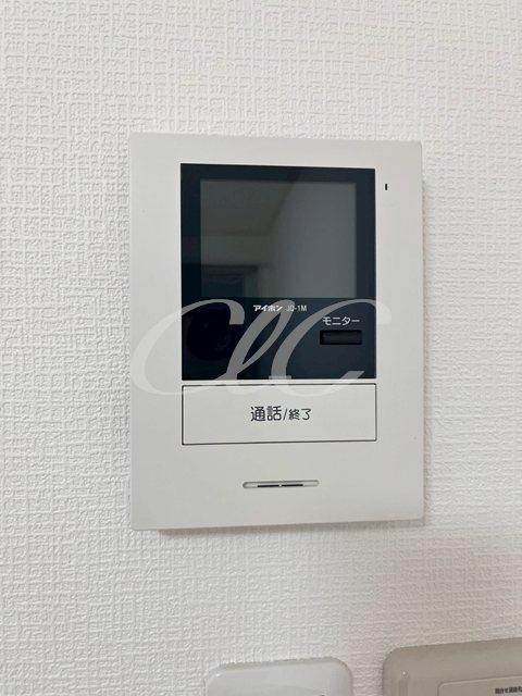 SEMIFUSA その他4