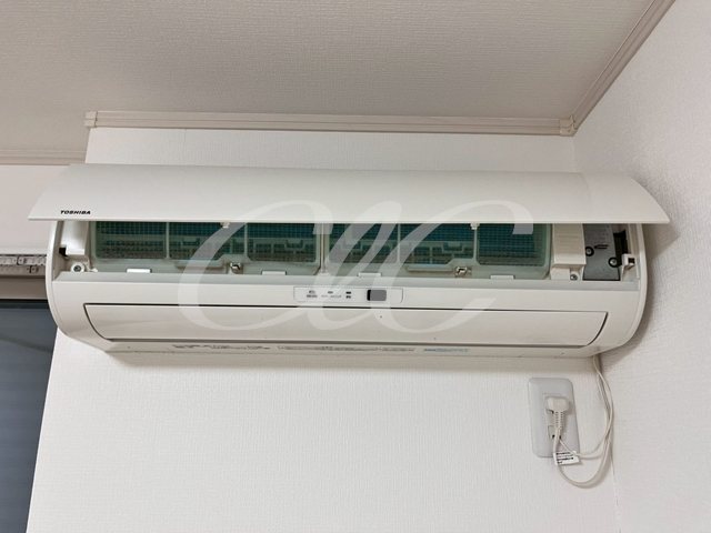 SEMIFUSA その他7