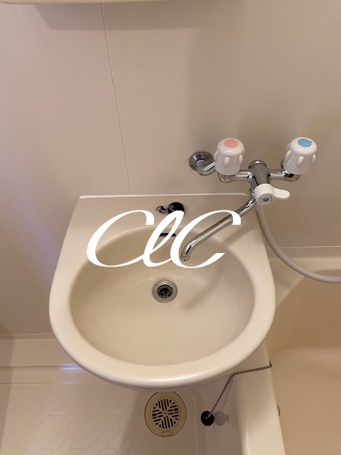 カリア その他2
