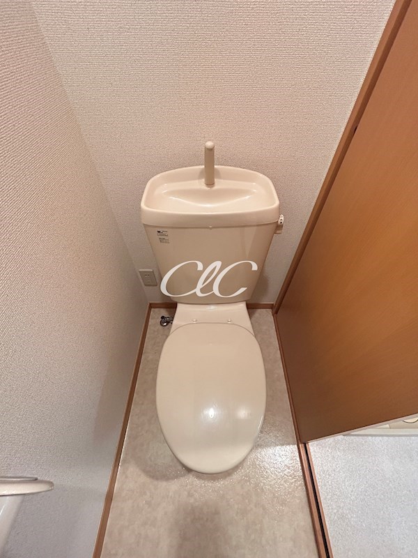 カリア その他2