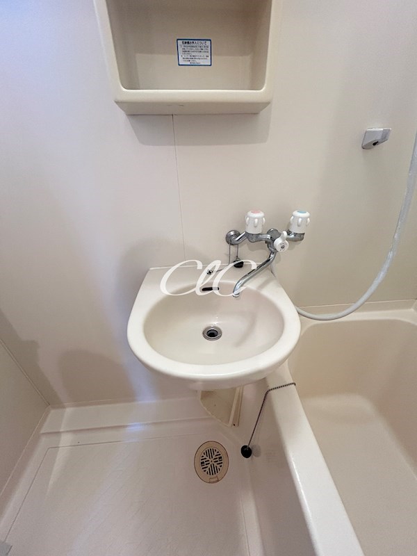 カリア その他3