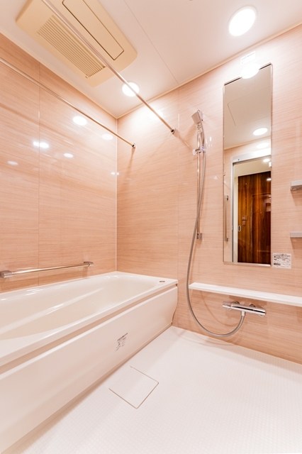 ミレアコート銀座プレミア 風呂画像