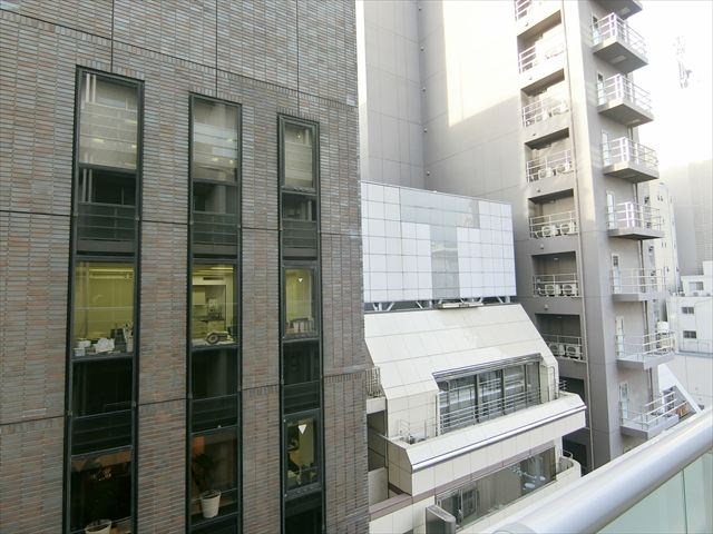 ミレアコート銀座プレミア その他9