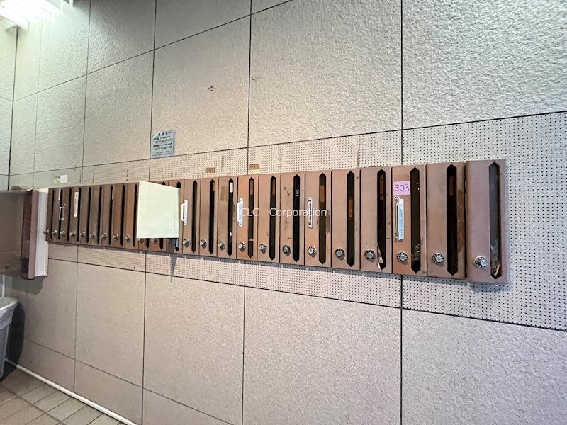 エイトジャパンシーダー その他7