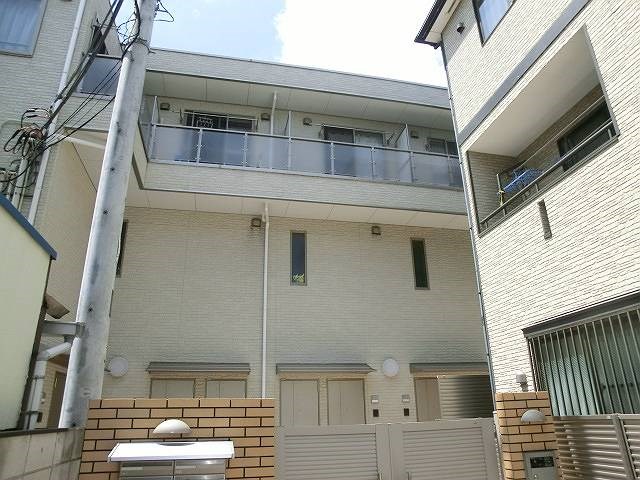court pinetail   その他1