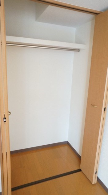 court pinetail   その他6