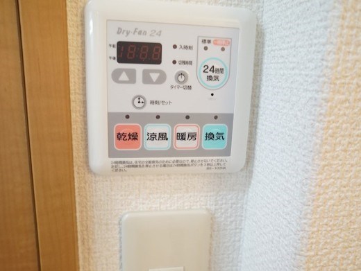 court pinetail   その他7