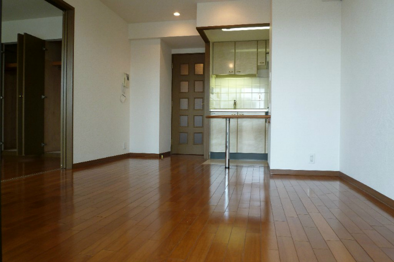 Ｌａｐｙｕｔａ   その他6