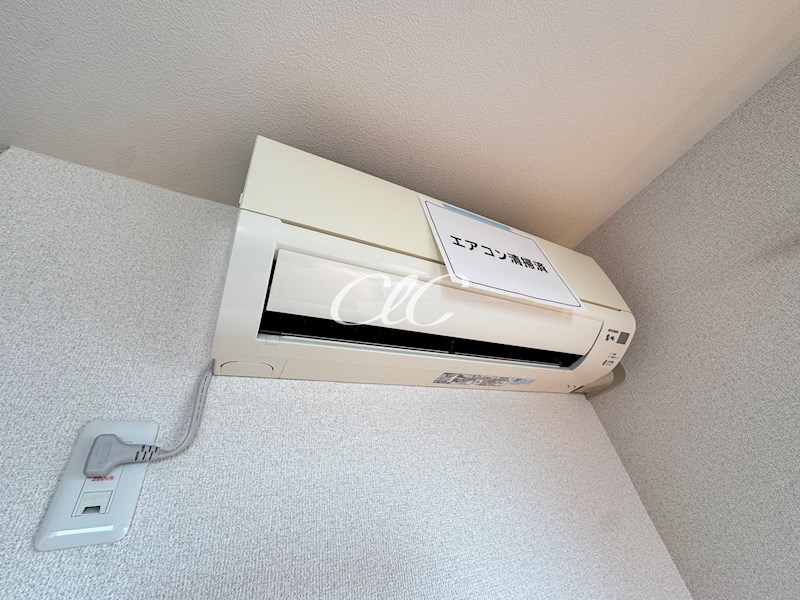 ピュアホワイト その他11