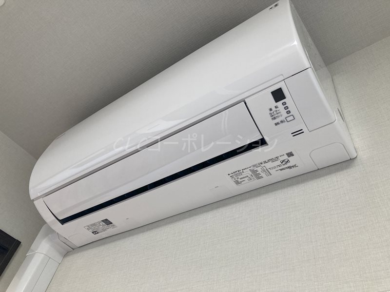 ORSUS UMEJIMA その他16