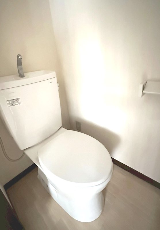 カトラセゾン３ その他1