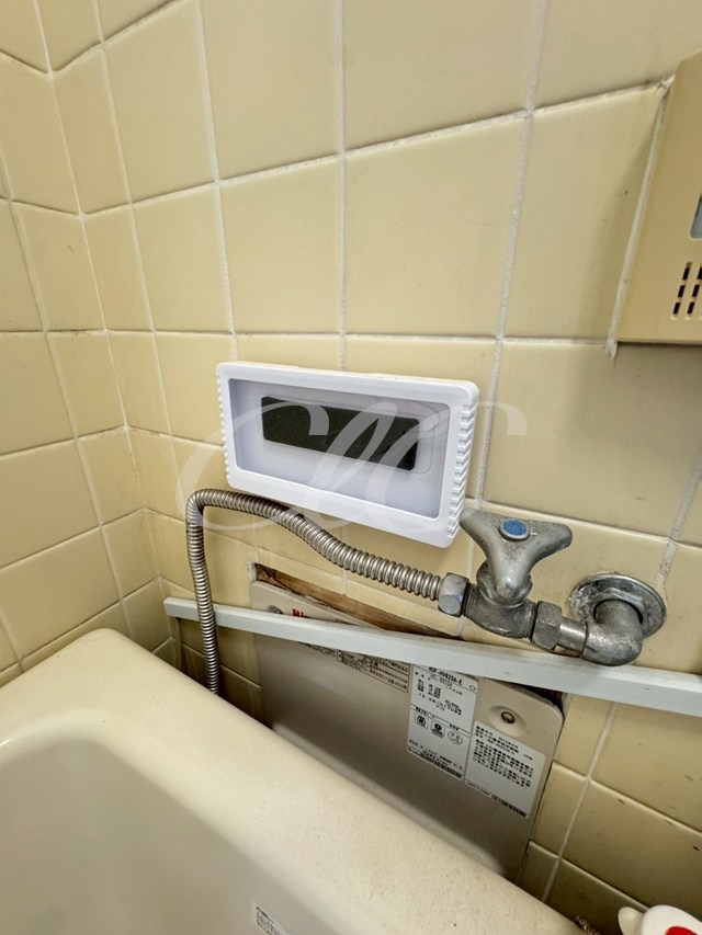 ホワイトハイツ その他8