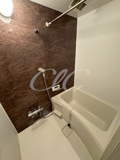 casa bonheur(カーサ　ボヌール) 風呂画像