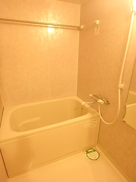 RADIANT　IWAIDA    風呂画像