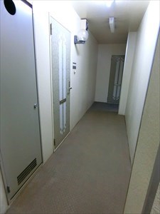 フローベル  その他4