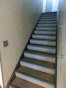 フローベル  その他6