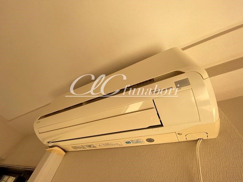 Wisteria その他10