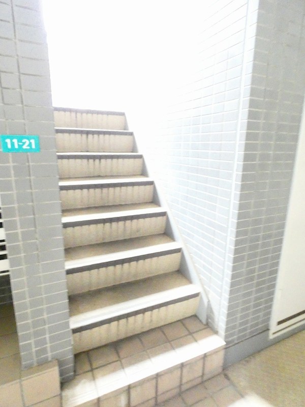 シャルマンモリタⅡ その他8