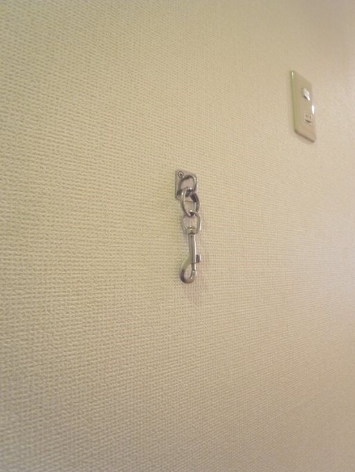 カーロヴィレッタカサイ その他14