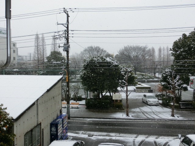 グリーンパーク立花 その他3