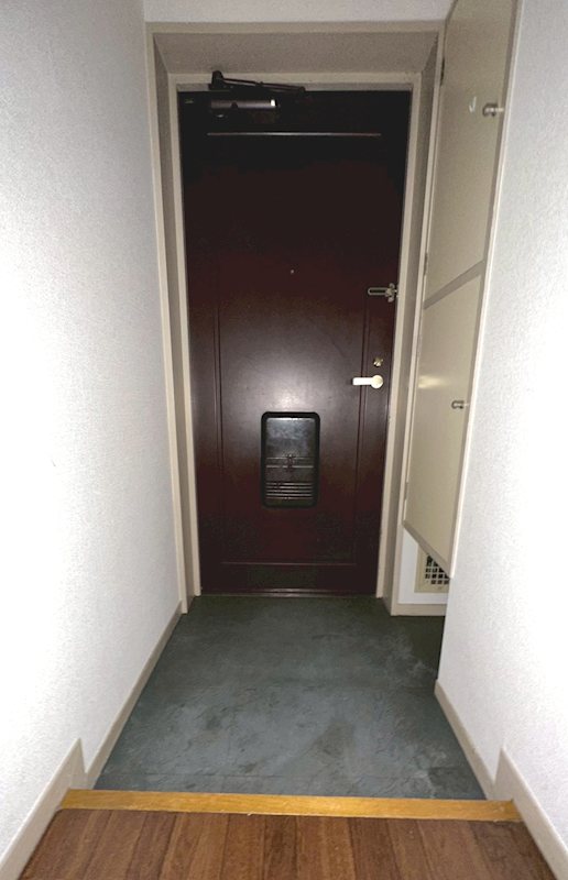 レクサスビル 玄関