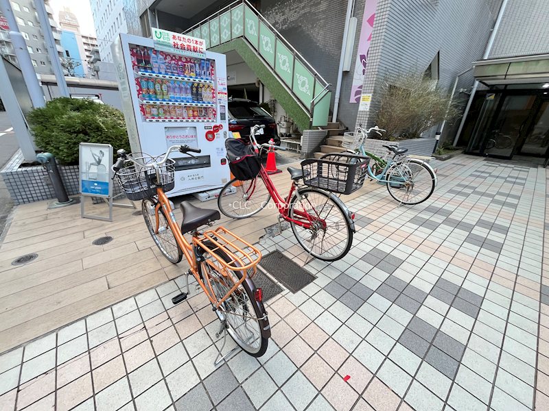 エイトジャパンシーダー その他9