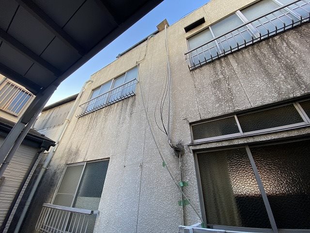 フェニックス1 その他4